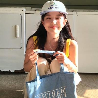如果德川家康成为总理大臣